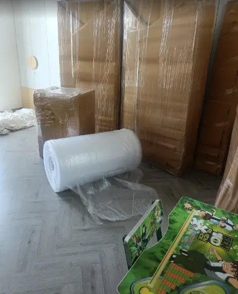 Packers and mover in Rohtak